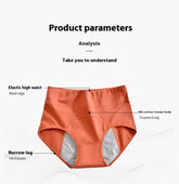 women_fashion - littlescollection