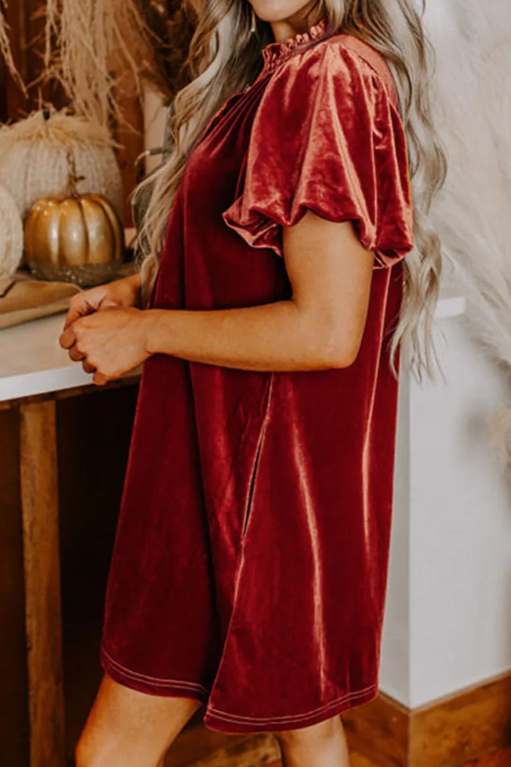 Velvet Tie Neck Short Sleeve Mini Dress - Littles Collection