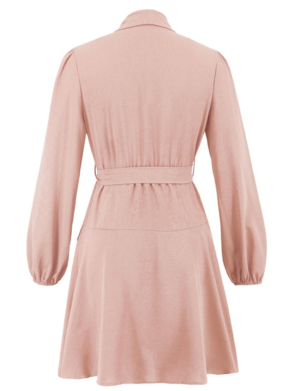 Surplice Tie Waist Long Sleeve Mini Dress - Littles Collection 